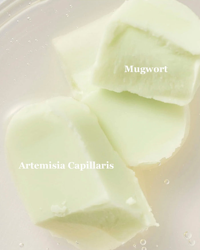 Matte Sun Stick : Mugwort+Camelia 18g